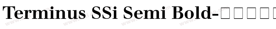 Terminus SSi Semi Bold字体转换